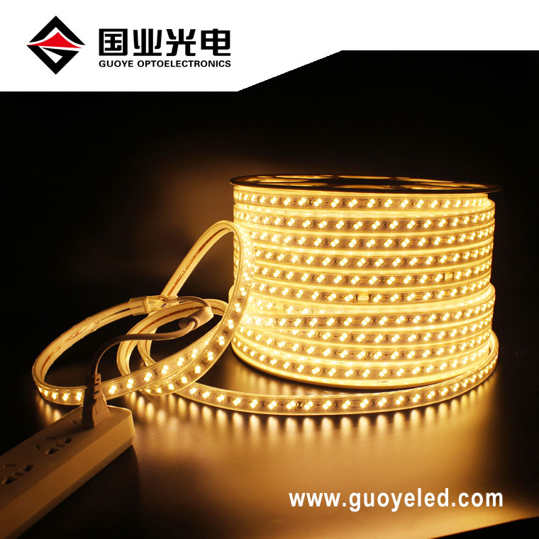 110v 220v led strip light