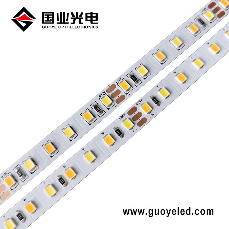 Double Color LED Strip Lights